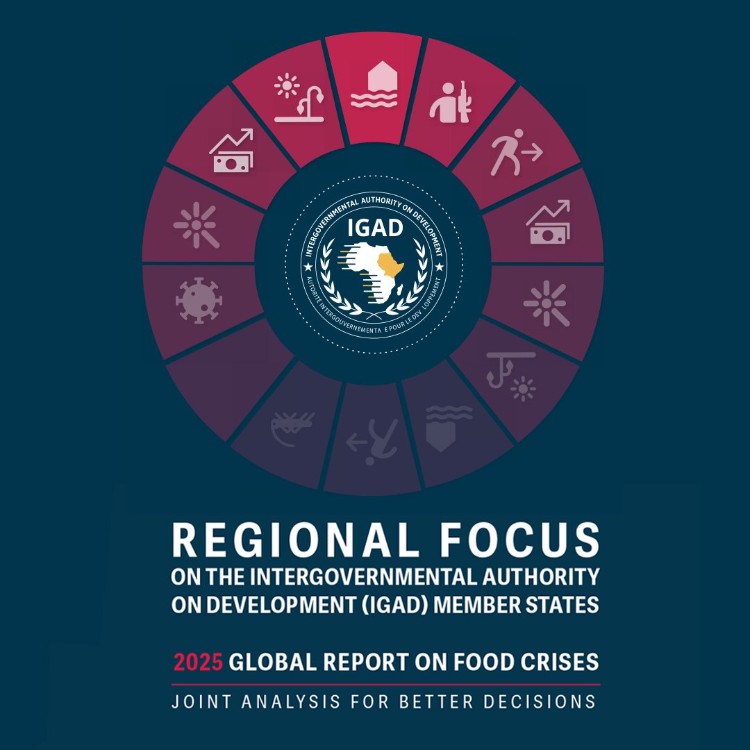 IGAD Regional Focus of the 2025 Global Report on Food Crises